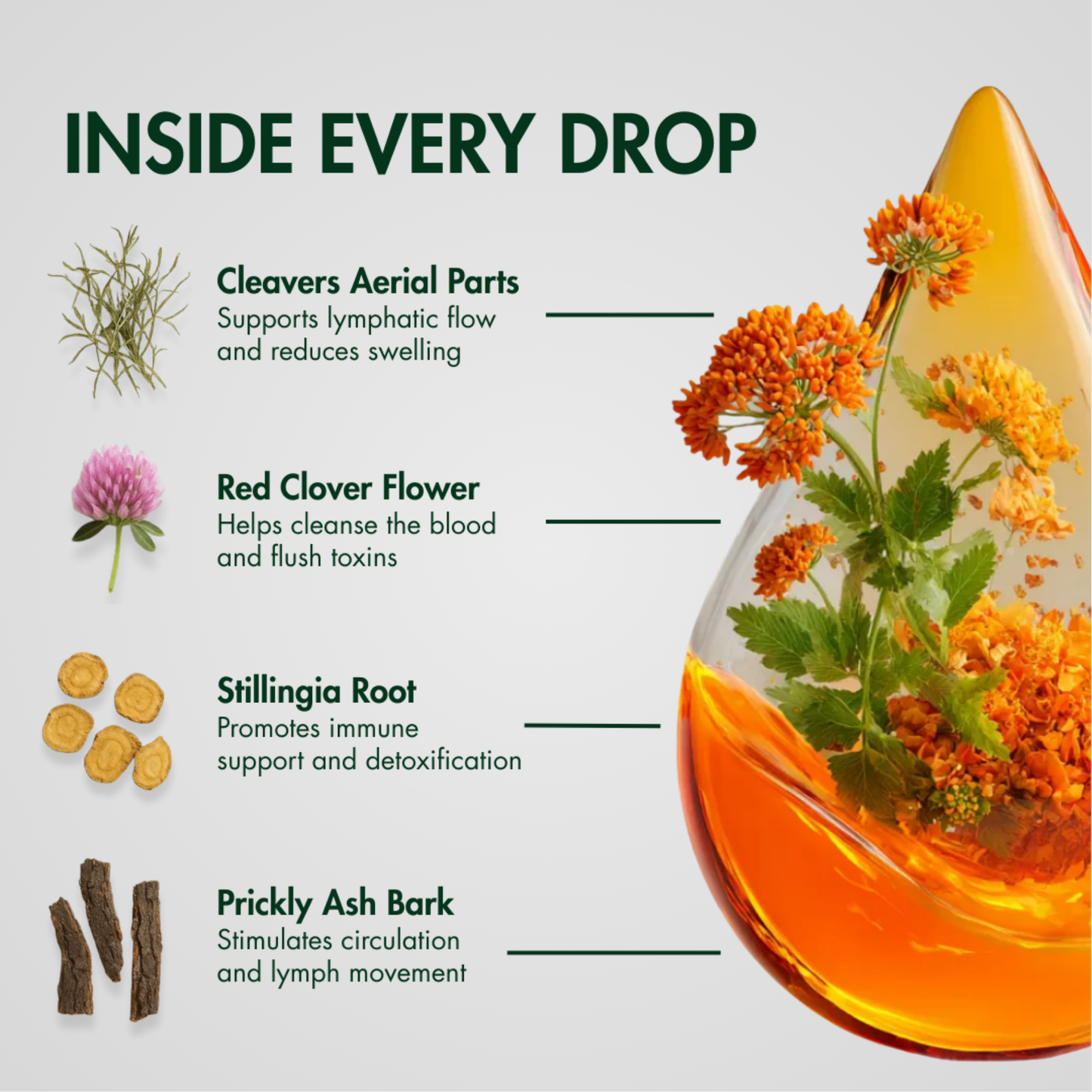 Lymphatic Drainage Drops