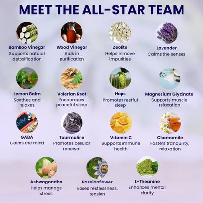 Good Night Sleep Detox Foot Pads